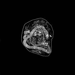 Mons Veneris : To Those Undead Spirits... From My Ruinous Journeys